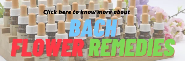 bach flower remedies